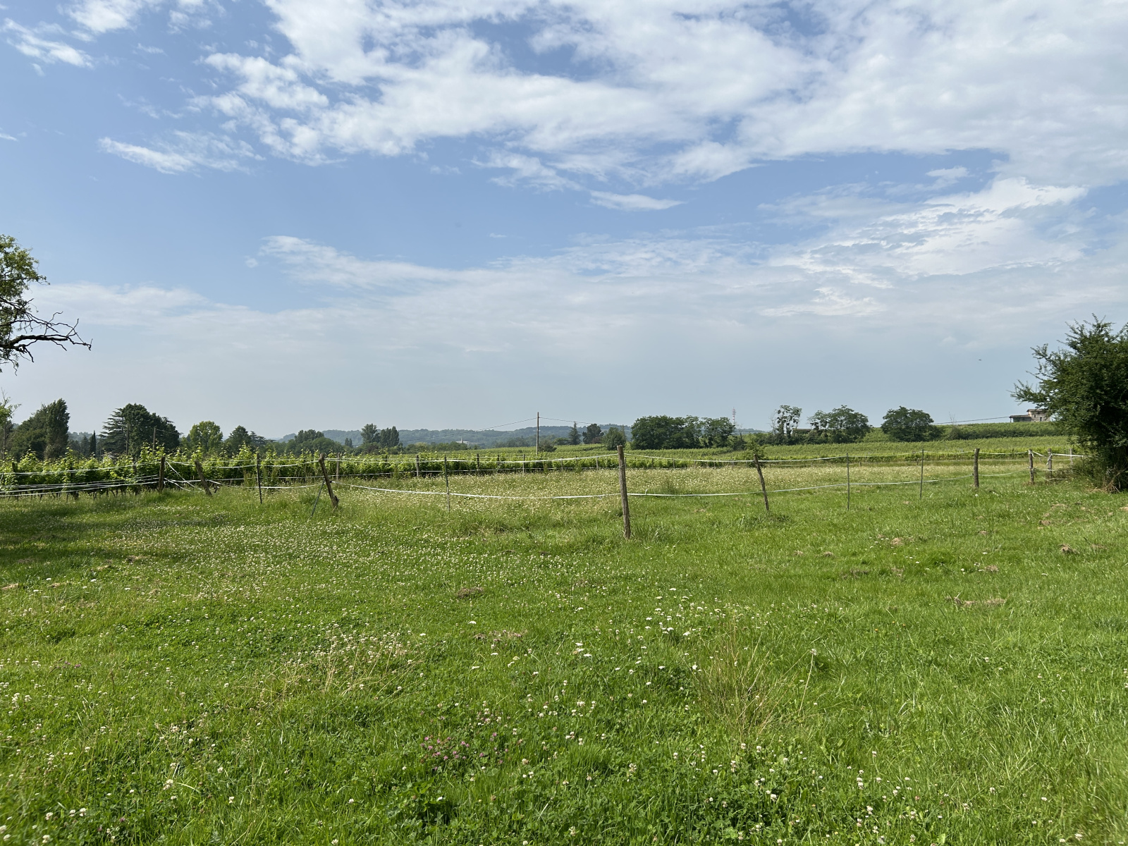 Image_, Ferme, Sauveterre-de-Guyenne, ref :363