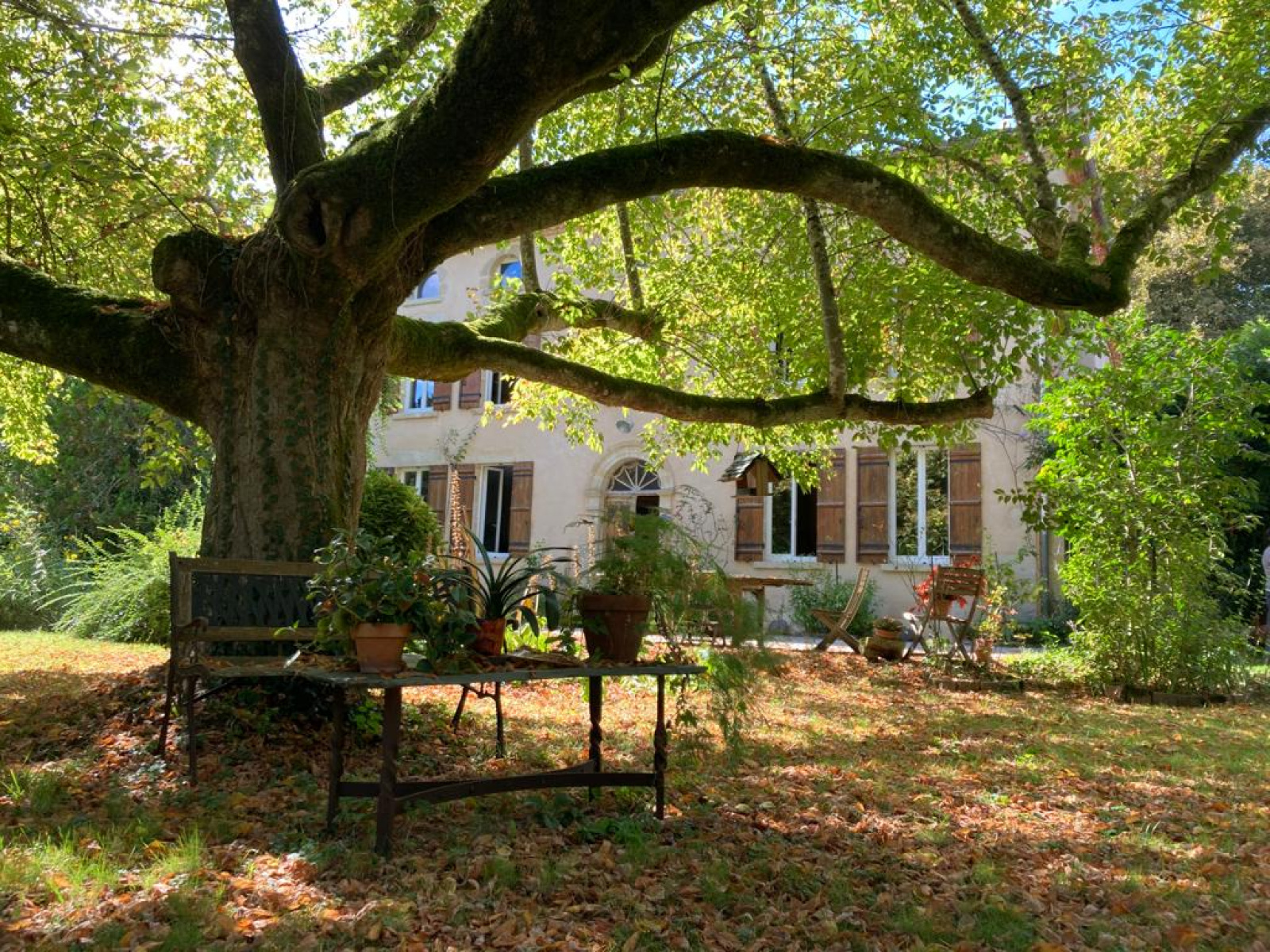 Image_, Maison, Bazas, ref :A167