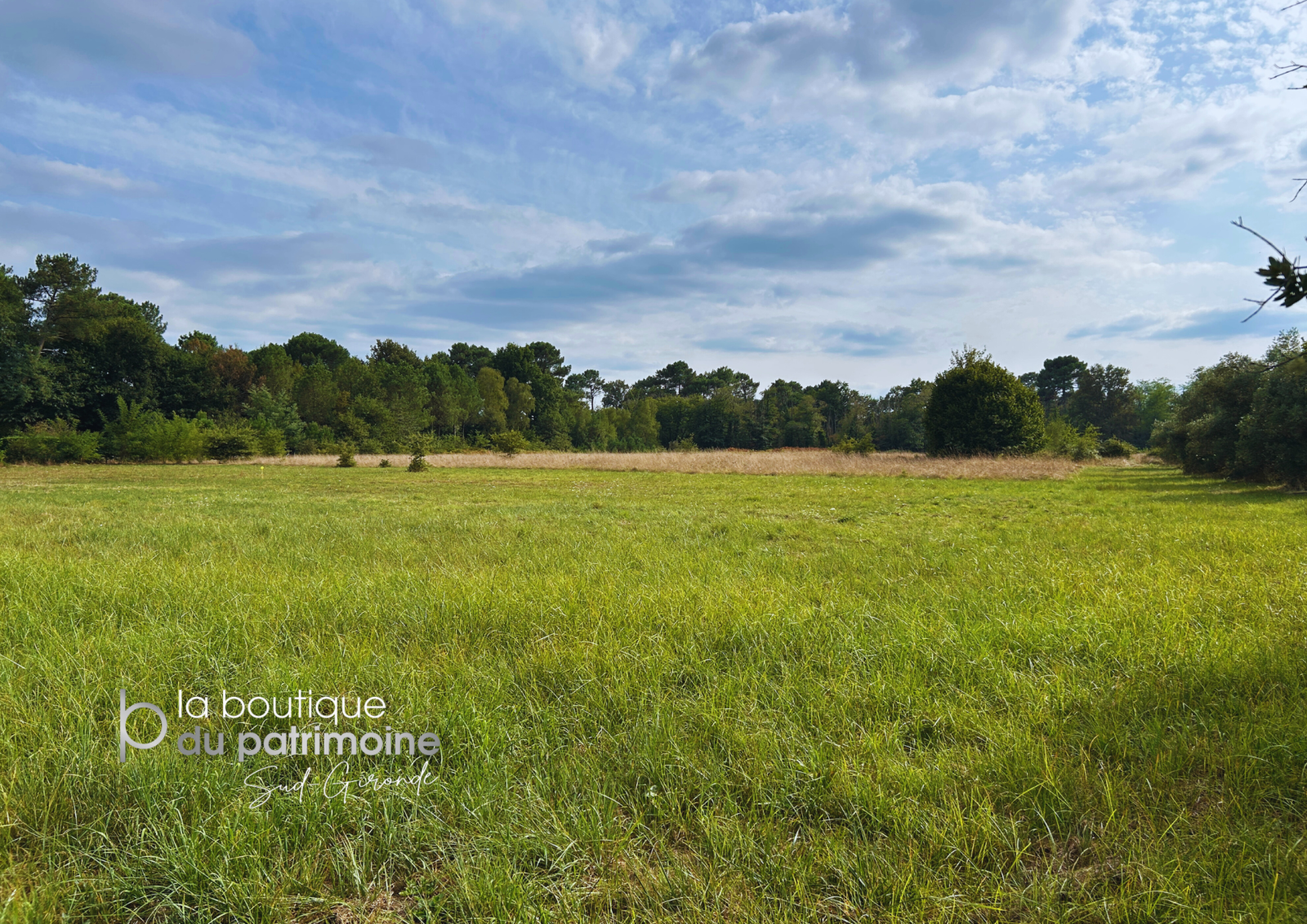 Image_, Terrain, Bazas, ref :394