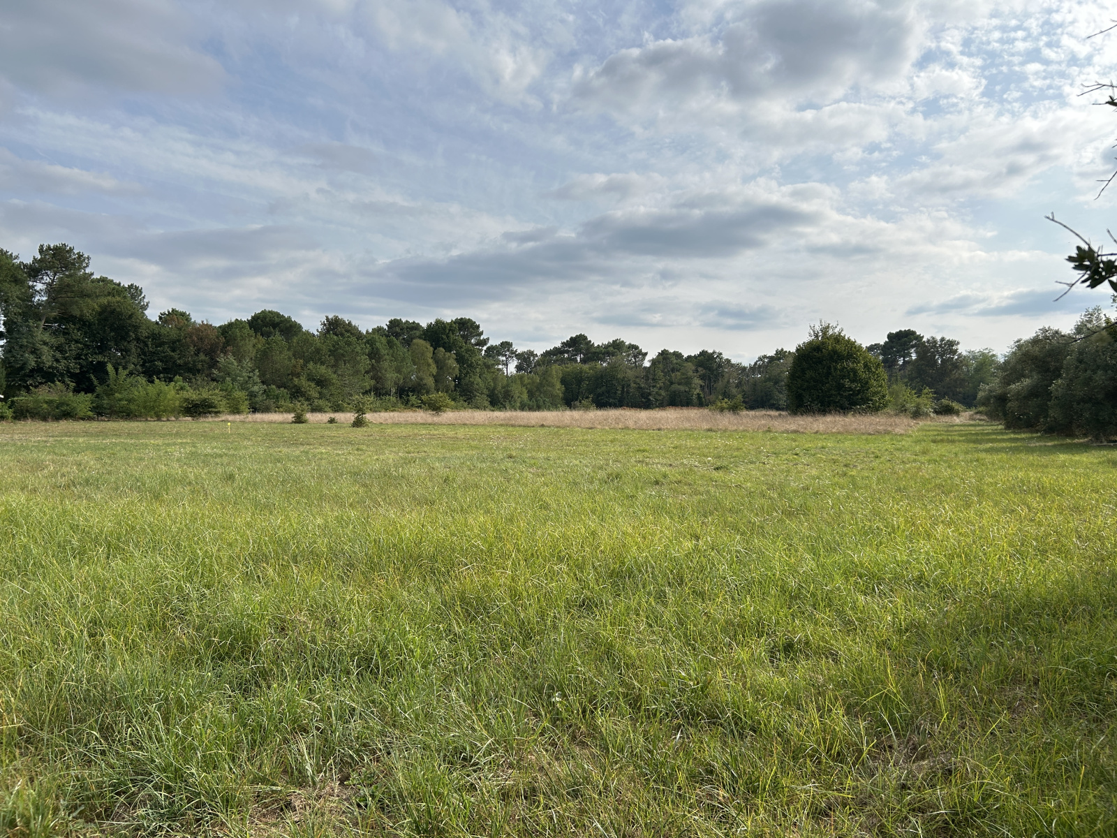 Image_, Terrain, Bazas, ref :394