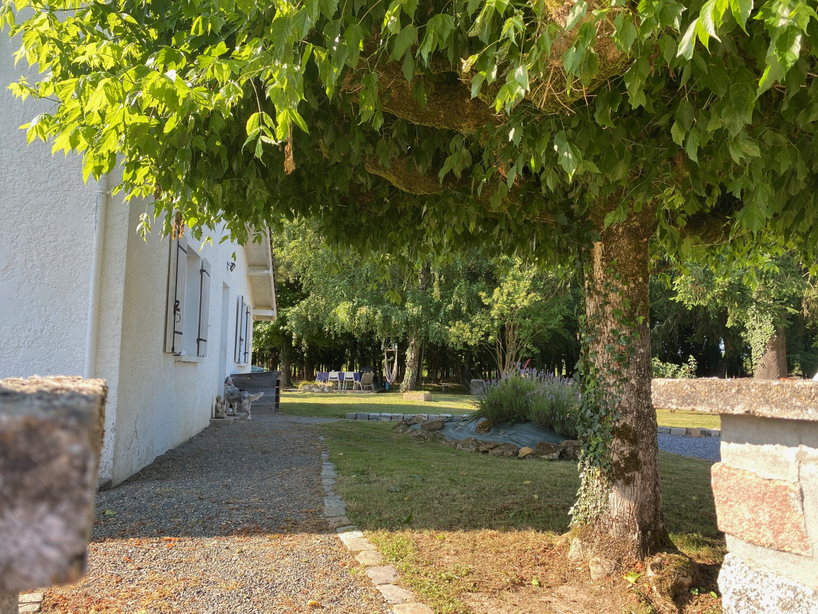 Image_, Maison, Bernos-Beaulac, ref :365