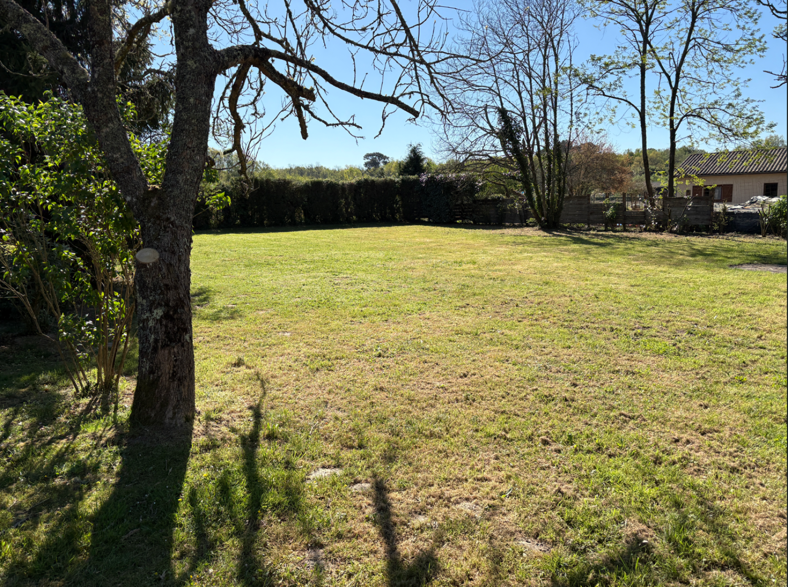 Image_, Terrain, Lignan-de-Bazas, ref :466