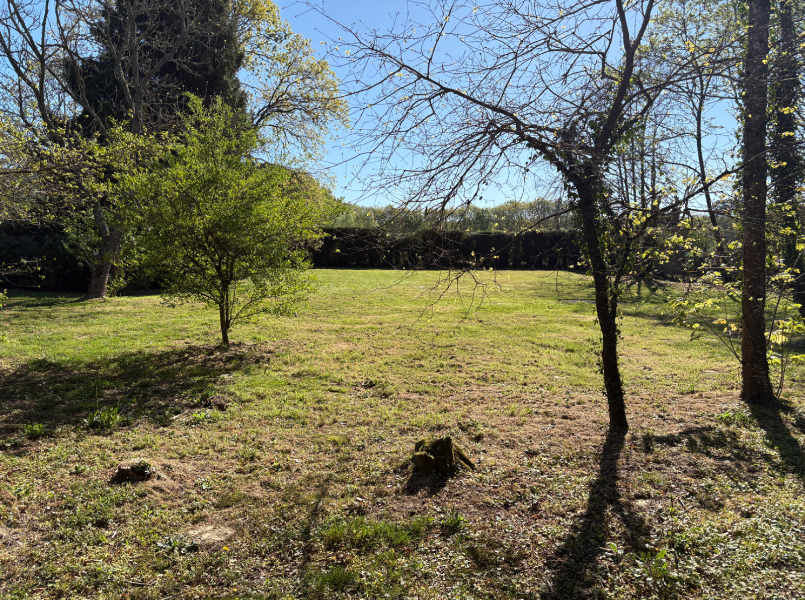 Image_, Terrain, Lignan-de-Bazas, ref :466