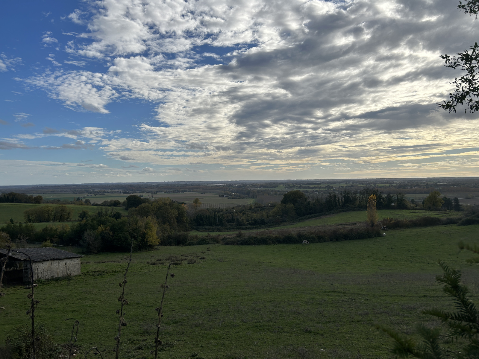 Image_, Maison, La Réole, ref :406