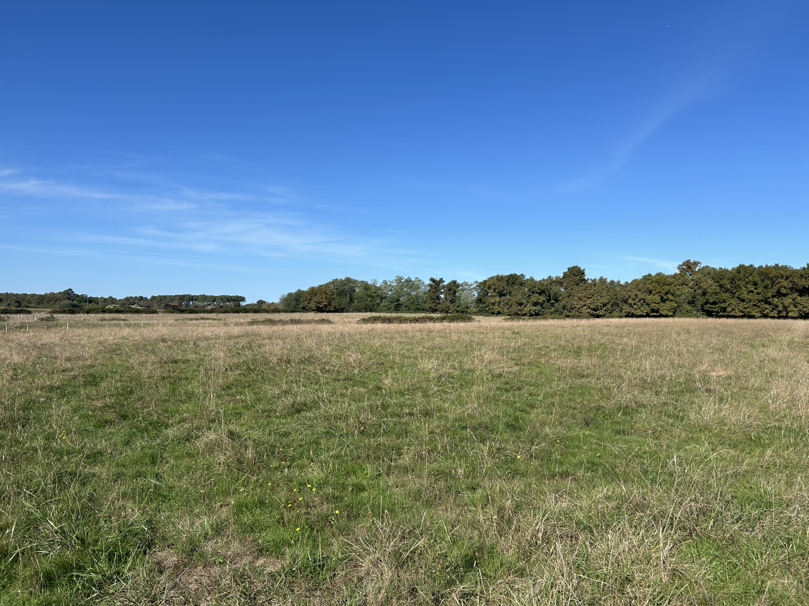 Image_, Ferme, Auros, ref :360