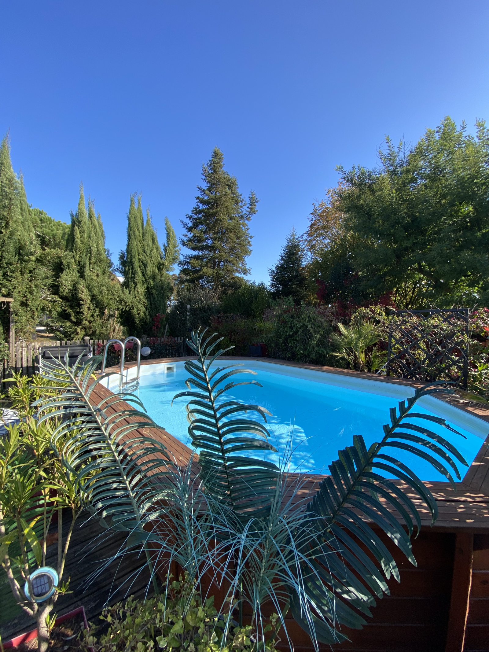 Image_, Maison, Saint-Pierre-d'Aurillac, ref :350