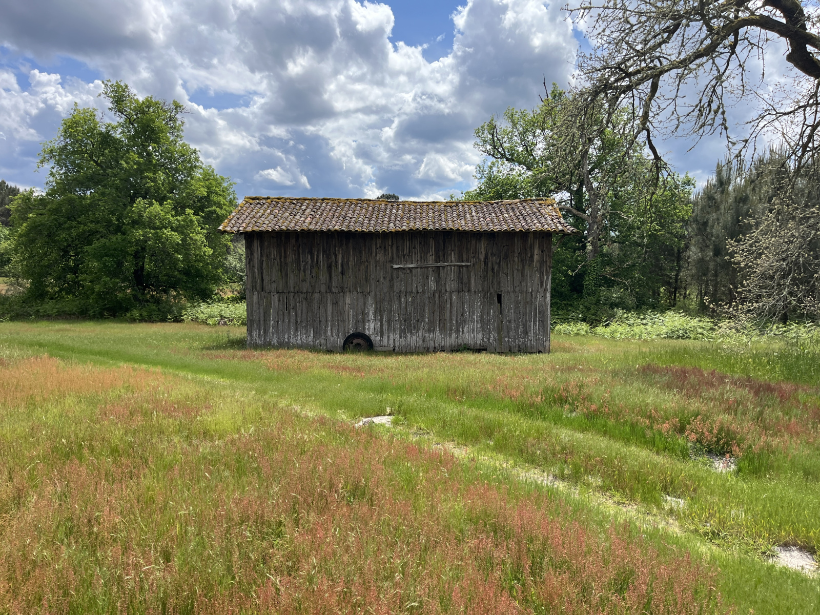 Image_, Maison, Saint-Michel-de-Castelnau, ref :371