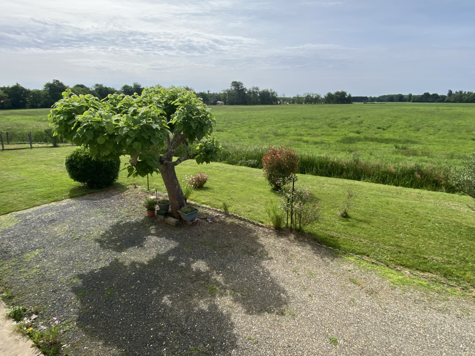 Image_, Maison, Captieux, ref :361