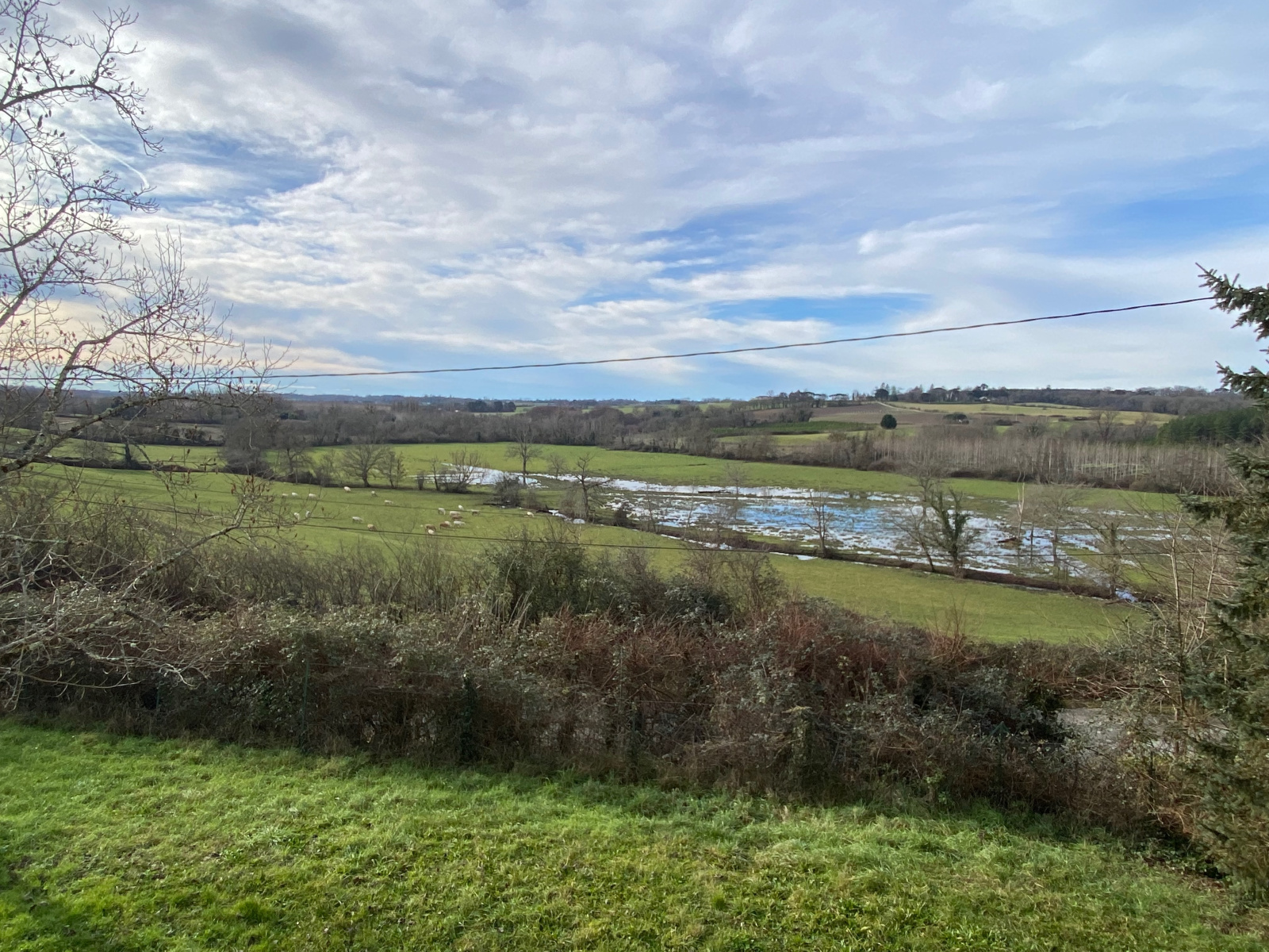 Image_, Propriete, Gans, ref :420