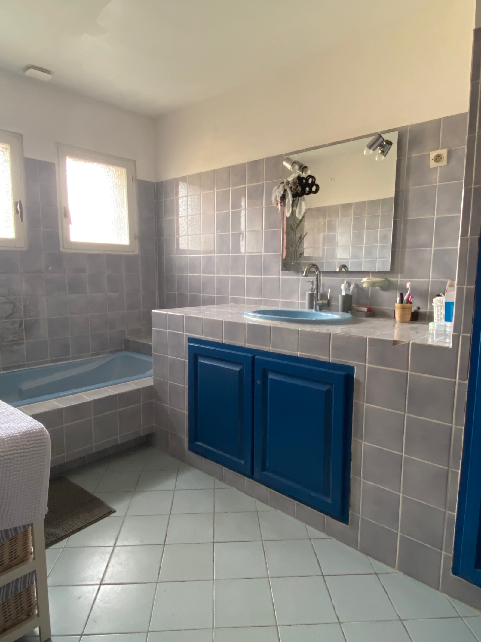 Image_, Propriete, Gans, ref :420