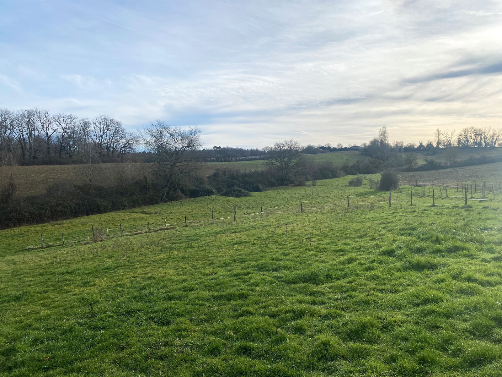 Image_, Propriete, Gans, ref :420