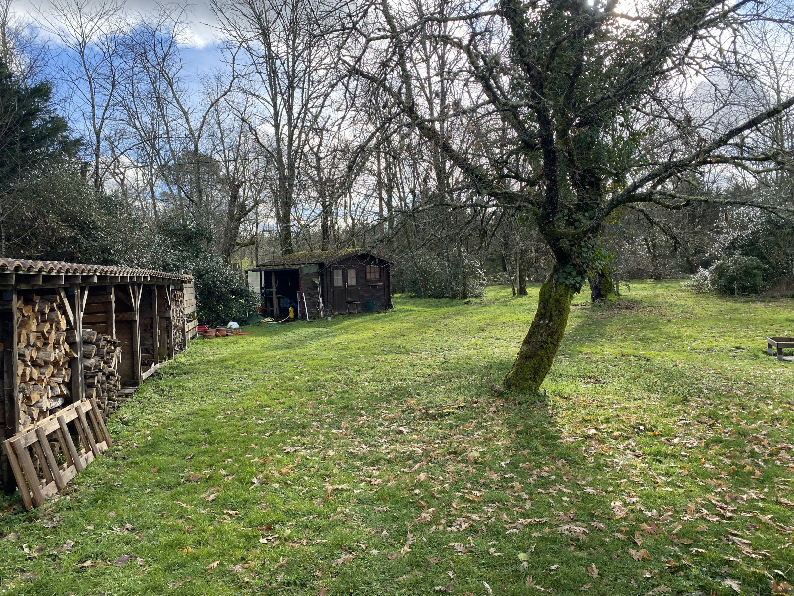 Image_, Maison, Saint-Symphorien, ref :421