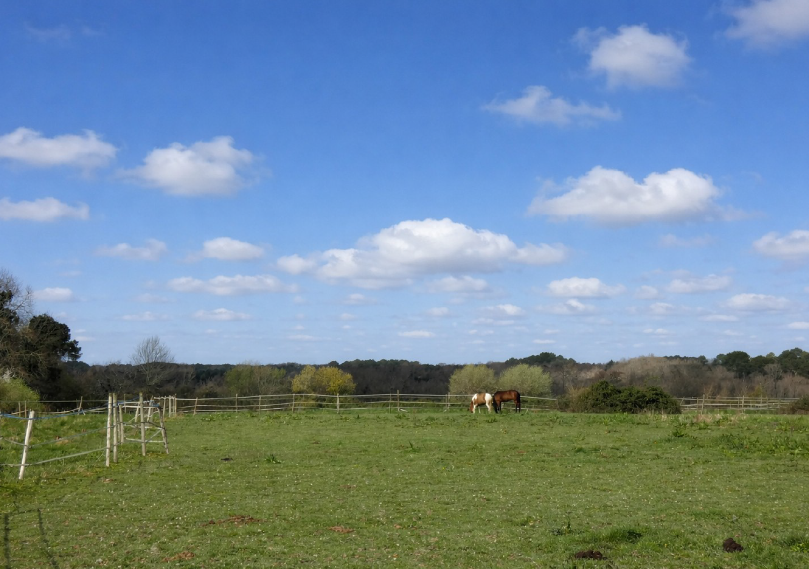 Image_, Propriete, Cazats, ref :450