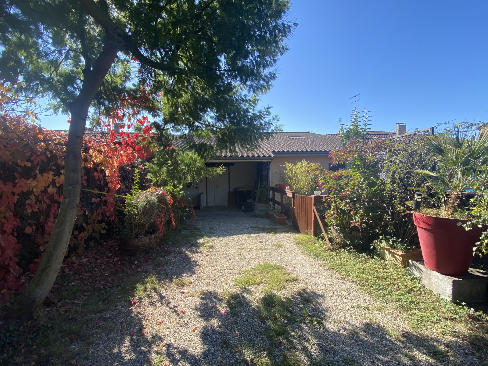 Image_, Maison, Langon, ref :323